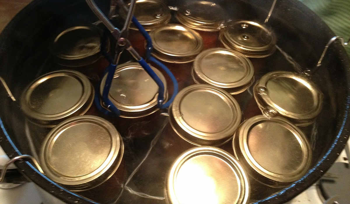 Плюсы обработки продуктов в домашних условиях