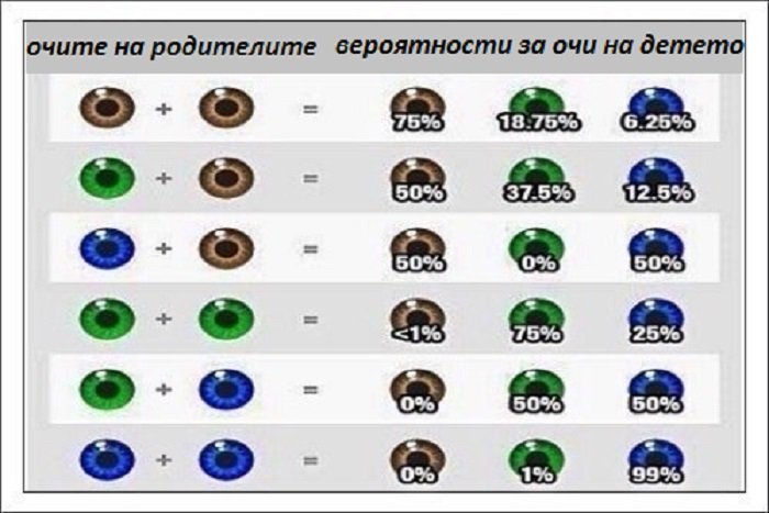 Папа глаза. Если у родителей карие глаза какие будут у ребенка таблица. Если у матери голубые глаза а у отца карие какие будут у ребенка. Цвет глаз родителей и детей. Сочетание цвета глаз родителей и детей.