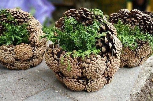 Кошнички от шишарки - За Жената
