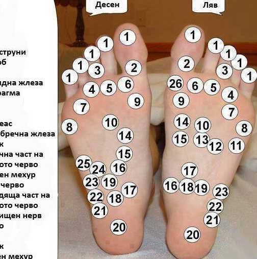 Точките на стъпалата, които е важно да знаете при много здравословни ...