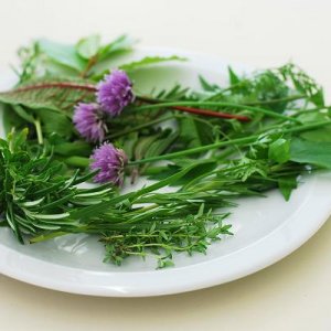 Народно лечение на вагинални гъбички - За Жената